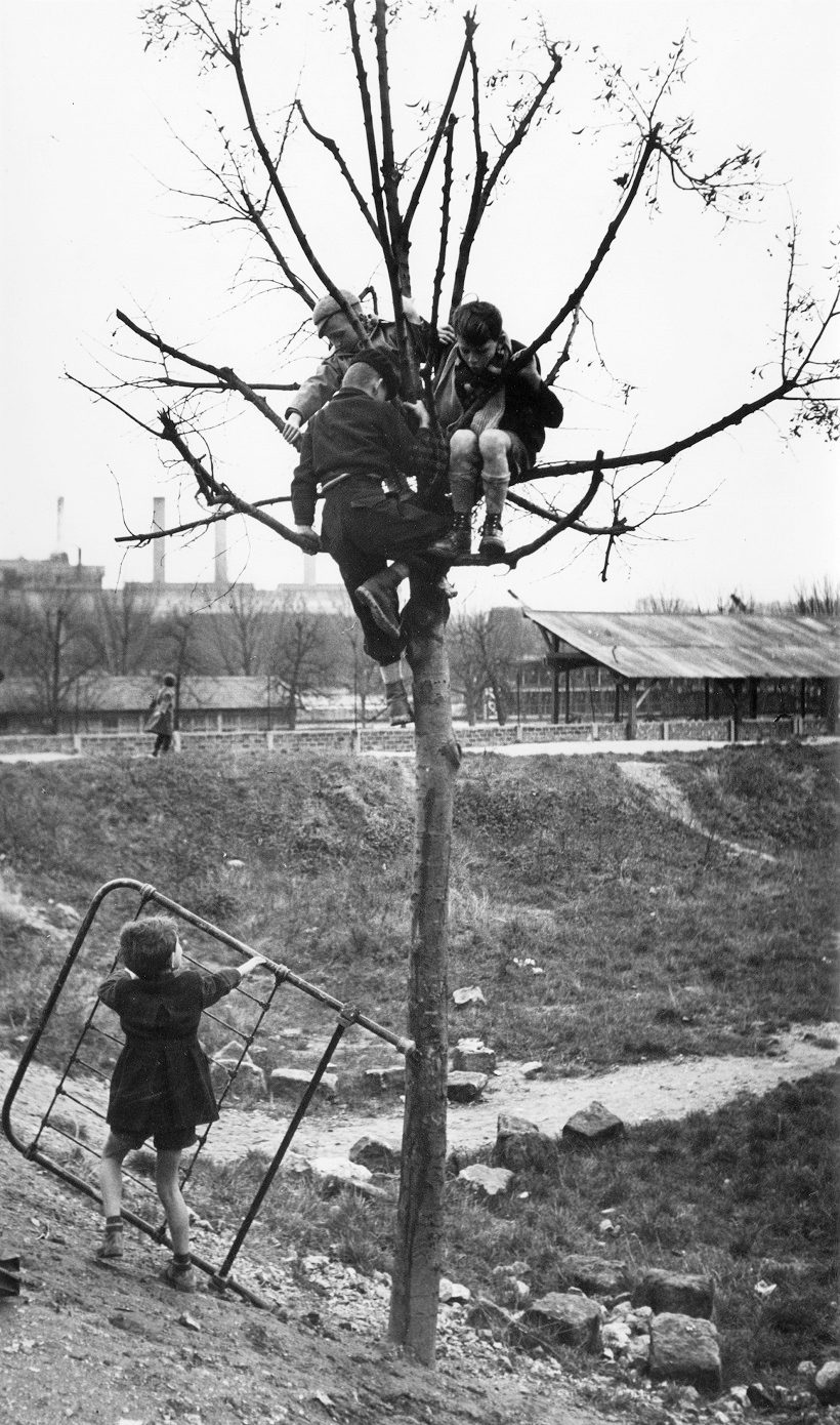 Enfants sur arbre (Children in Tree)